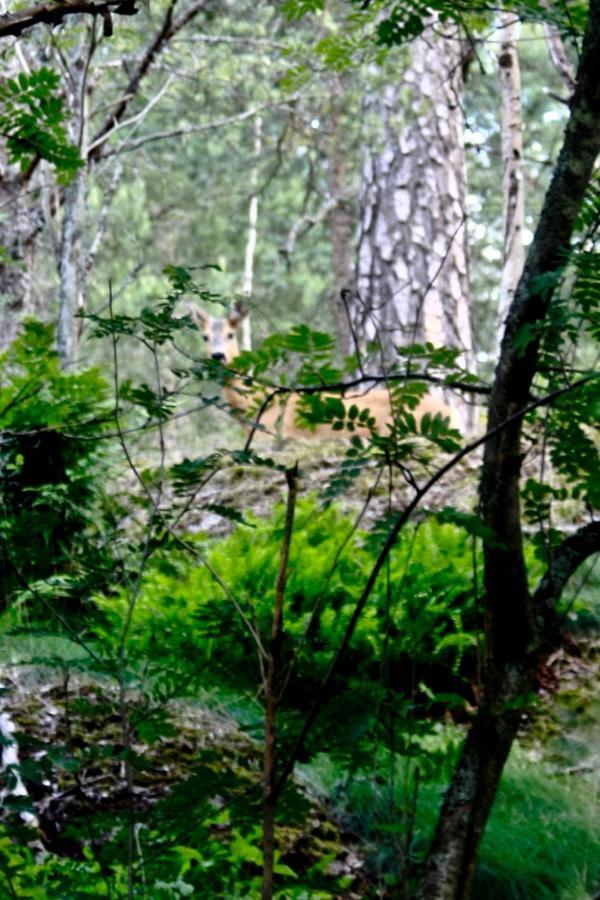 Bed&Breakfast In Nature 12 Min From City Free Bikes Stockholm Exteriér fotografie